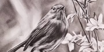 HOW TO DRAW | Basics of Charcoal Drawing for Beginners