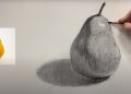 Charcoal Drawing of Fruit – Pear