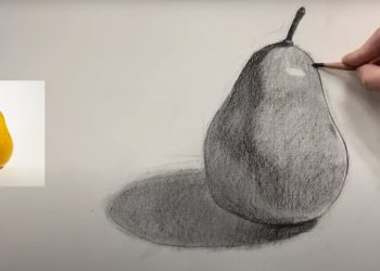 Charcoal Drawing of Fruit – Pear