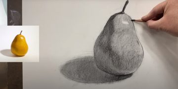 Charcoal Drawing of Fruit – Pear
